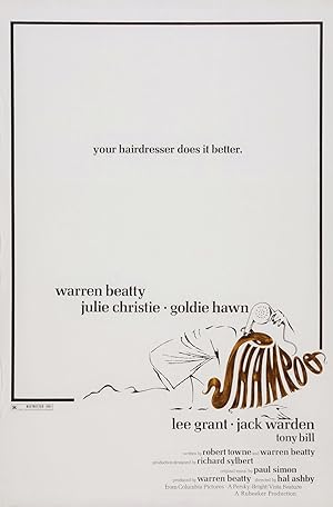 Shampoo poster