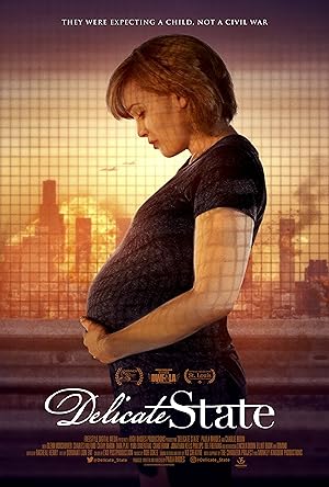 Delicate State poster