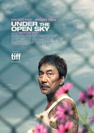 Under the Open Sky poster