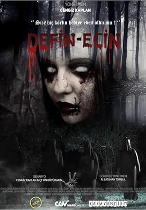 Defin-Ecin Zulman poster