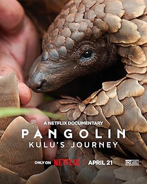 Pangolin: Kulu's Journey poster