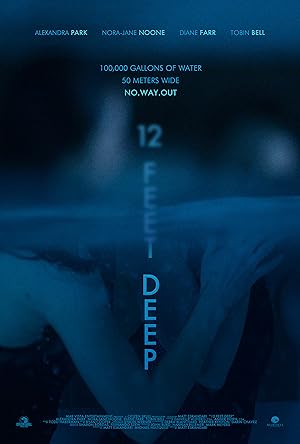 12 Feet Deep poster