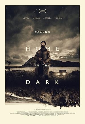Coming Home in the Dark poster